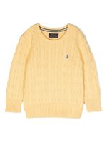 Ralph Lauren Kids pull en maille torsadée à logo brodé - Jaune - thumbnail