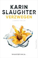 Verzwegen (Paperback)