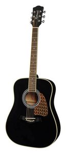 Richwood RD-16-BK akoestische gitaar