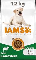 IAMS drooghondenvoer met lam - droogvoer voor volwassen honden vanaf 1 jaar, geschikt voor grote honden, 12 kg