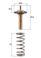 Thermostaat, koelvloeistof TX31190D