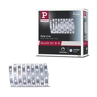 Paulmann 79858 LED Stripe MaxLED 250 2,5m Daglicht IP20 incl. 1x10 Watt Stripe Strip Lichtband 6500 K