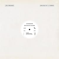 Because Of A Flower - CD (0796441823024)