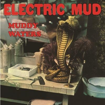 Electric Mud - LP (5060672888615)