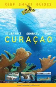 Duikgids Curacao | Yellow Pear Press