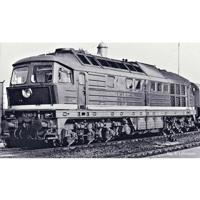 Piko H0 52765 H0 Dieselloc BR 142 van de DR