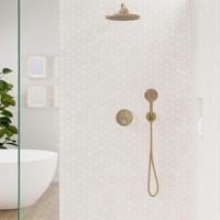 Hansgrohe Showerselect s Doucheset inbouw thermostaat 2 functies brushed bronze SW481756 / SW545415 / SW490198 / SW773885 / SW3589 - thumbnail