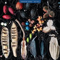 We Fall - LP (0810017640102)