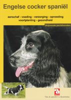 Over Dieren - De engelse cocker spaniel