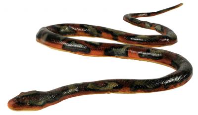 Johntoy Animal World Soft Touch slang oranje 135 cm Johntoy Animal World Soft Touch slang oranje 135 cm