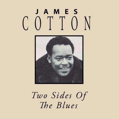 Two Sides Of The Blues - CD (0760137098522)