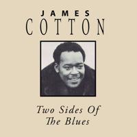 Two Sides Of The Blues - CD (0760137098522)