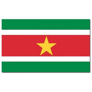 Vlag Suriname 90 x 150 cm feestartikelen