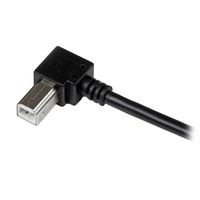 StarTech.com 2 m USB 2.0 A naar rechtshoekige B-kabel M/M - thumbnail