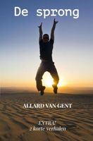 De sprong - Allard Van Gent - ebook - thumbnail