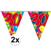 2x Vlaglijn 30 jaar 10 meter - thumbnail