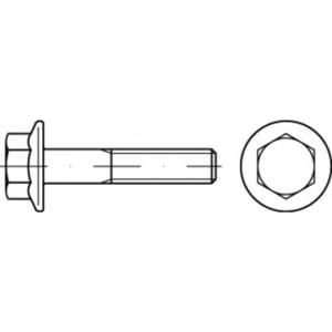 TOOLCRAFT TO-5391699 Zeskantbout M8 60 mm Buitenzeskant Staal Galvanisch verzinkt 200 stuk(s)