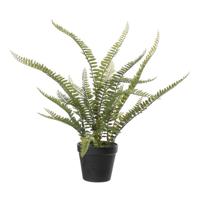 Louis Maes Kunstplant - Varen Nephrolepis - Groen - 50 cm   - - thumbnail