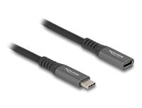 DeLOCK 80021 USB-kabel USB 3.2 Gen 2 (3.1 Gen 2) 0,5 m USB C zwart