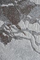 Grijs Vloerkleed Gemeleerd Fuscella