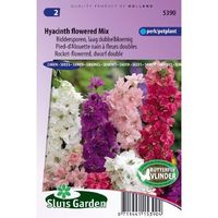 Delphinium Ajacis zaden Ridderspoor Mix - thumbnail