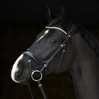 Kieffer - snaffle bridle ULTRA SOFT AMY SHINE