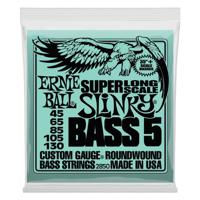 Ernie Ball P02850 snaar voor muziekinstrumenten Bas 5 stuk(s) Staal Gitaar