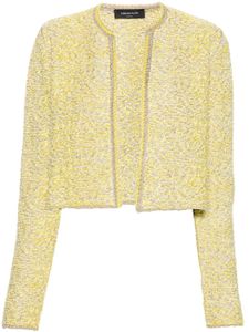 Fabiana Filippi cardigan en maille chinée - Jaune