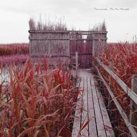 Tan-Tan Therapy - CD (0880918818627)