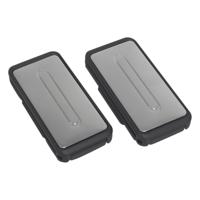 Gordelklemmen zilver 2 stuks