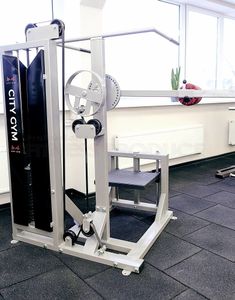 FP Equipment Multi Hip Machine