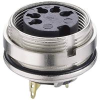 Lumberg 0305 03 DIN-connector Bus, inbouw verticaal Aantal polen: 3 Zilver 1 stuk(s)