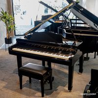 Oostendorp Digital Classic Semi Grand Elite III PE messing