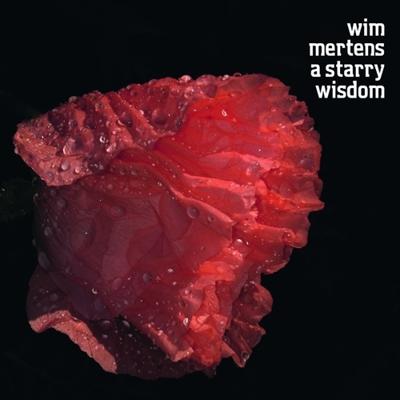 A Starry Wisdom - CD (5425034350122)