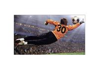 Dis Public 49 LG compatible 49VL5G-M videowall IPS