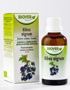 Biover Ribes nigrum bio (50 ml)