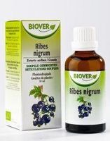 Biover Ribes nigrum bio (50 ml)