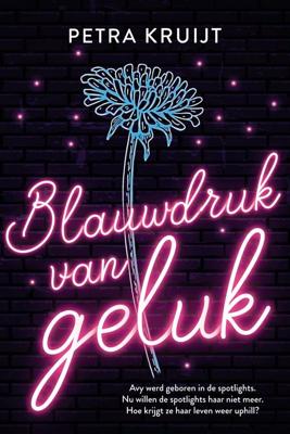 Blauwdruk van geluk - Petra Kruijt - ebook