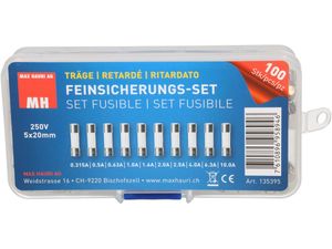 Max Hauri 135395 Buiszekering assortiment (Ø x l) 5 mm x 20 mm Traag -T- Inhoud 100 stuk(s)