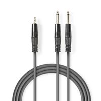 Nedis COTH23200GY50 Stereo Audiokabel 2x 6,35 Mm Male - 3,5 Mm Male 5,0 M Grijs