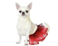 ATOSA Kostuum voor huisdieren, tutu, rood