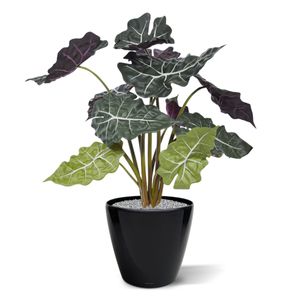 Red Alocasia kunstplant 65cm