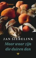 Maar waar zijn die duiven dan - Jan Siebelink - ebook - thumbnail