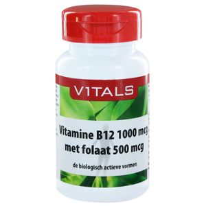 Vitamine B12 1000 mcg met folaat 500 mcg