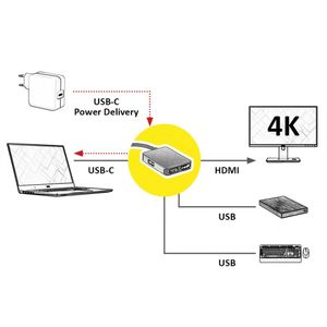 ROLINE 12.02.1120 laptop dock & poortreplicator Bedraad USB 3.2 Gen 1 (3.1 Gen 1) Type-C Goud