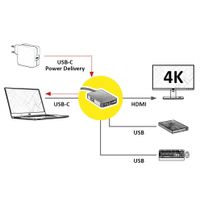 ROLINE 12.02.1120 laptop dock & poortreplicator Bedraad USB 3.2 Gen 1 (3.1 Gen 1) Type-C Goud - thumbnail