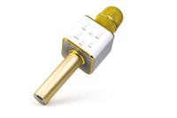 Technaxx BT-X31 Bluetooth luidspreker AUX, USB Goud, Wit