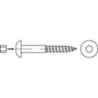 TOOLCRAFT 159343 Bolkop houtschroeven 10 mm 80 mm Binnenzeskant (inbus) Staal Galvanisch verzinkt 50 stuk(s)