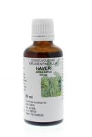 Avena sativa herb/haver tinctuur