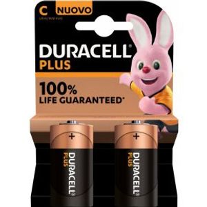 Duracell Plus 100 C Wegwerpbatterij Alkaline